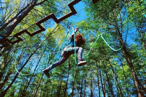 Parcours Accrobranche